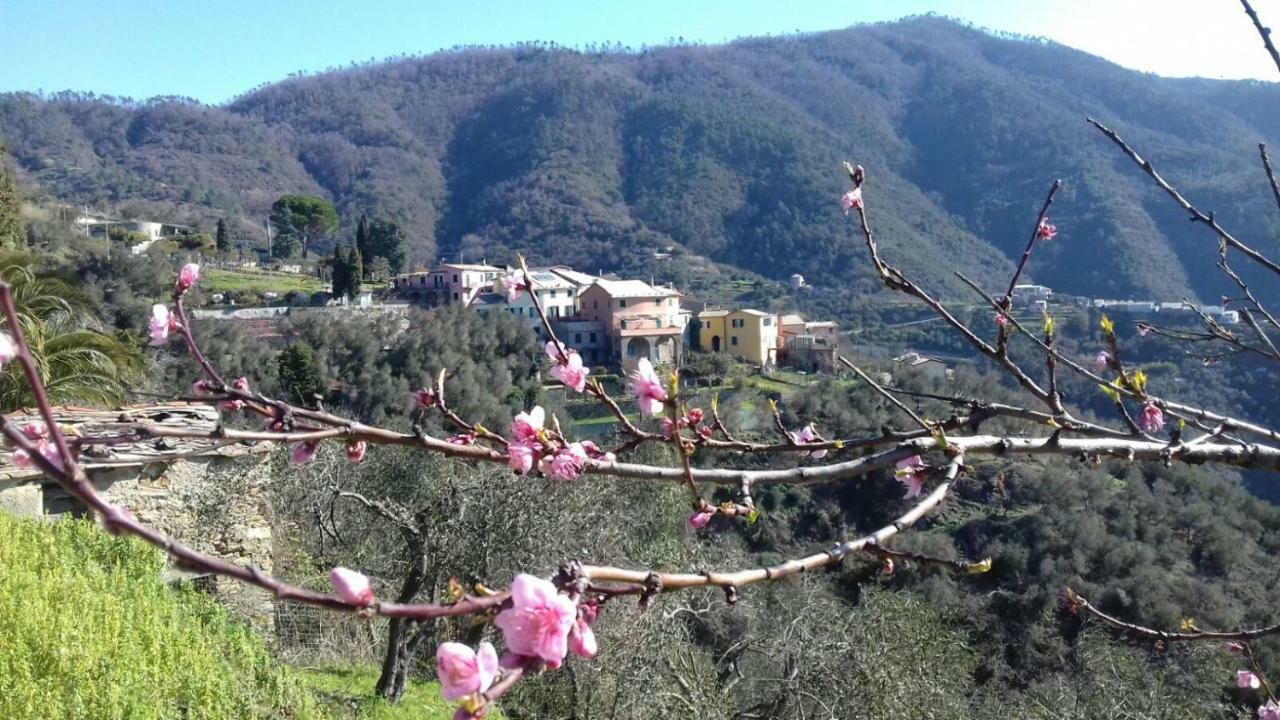 Casa Burrasca Villa Levanto Exteriör bild